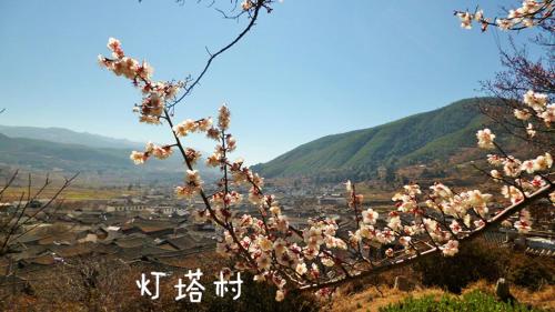 Up Air Guest house — Photo 4
