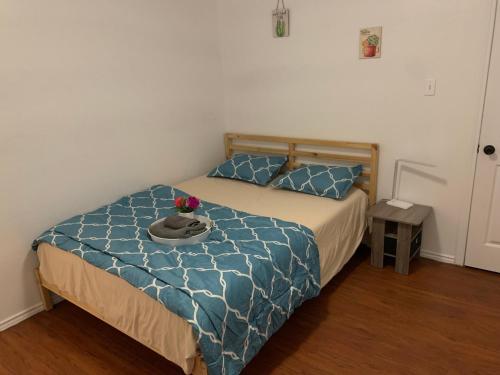 Private room in Dallas near downtown in Dallas, USA