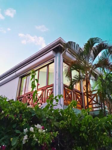 陽台/露台, Studio Karaïbes (Studio Karaibes) in 聖安娜