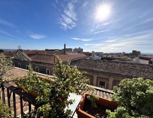 Trìcora Sicilian B&B – Catania, CA