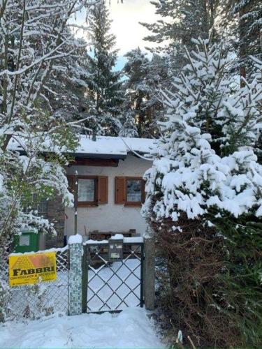  cozy alpine house at ski resort, Pension in Breitenstein