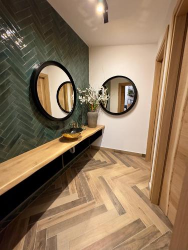 Faciliteiten, Cabana Friends in Valea Manastirii