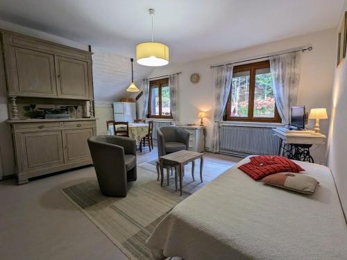 . Gîte rénové avec randonnées et ski à proximité, à 6 km de Remiremont - FR-1-589-151