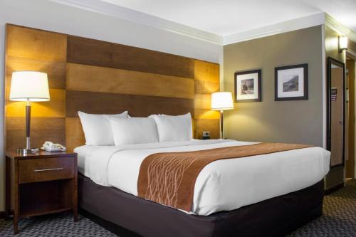 Comfort Inn & Suites Durango - main image