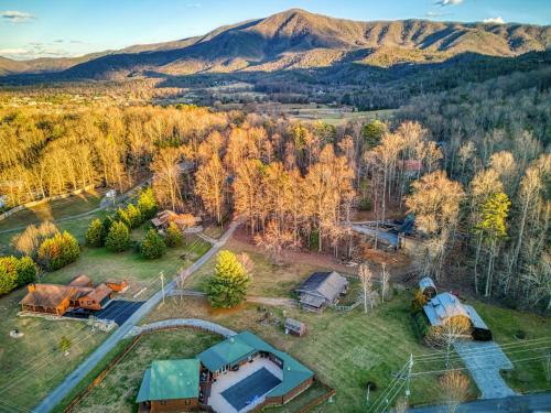 Black Bear Splash in Sevierville, USA