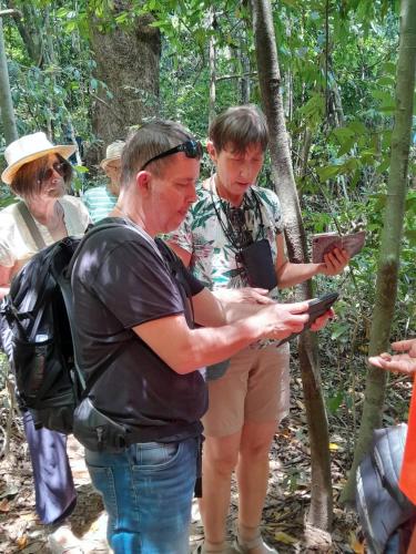 Khao Sok River & Jungle Bungalow