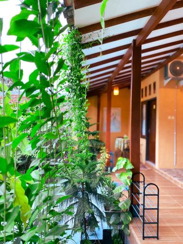 Nitha Homestay Near Train Station in Glagah