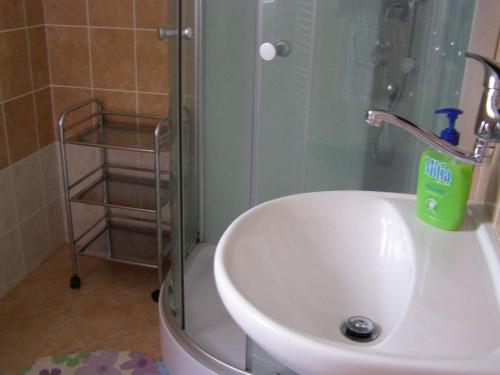 Zuhanyzó, Apartment Vysocina in Svratka