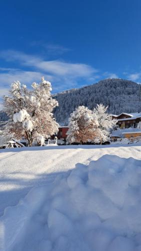 Phantasia, Flachau (fotografie 5)