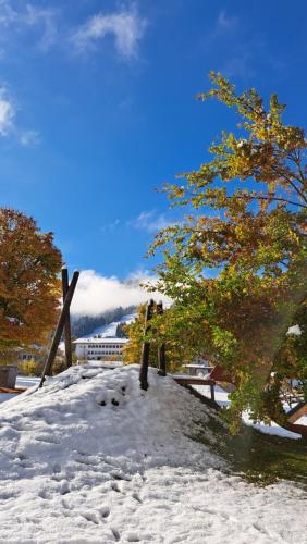 Phantasia, Flachau (fotografie 4)