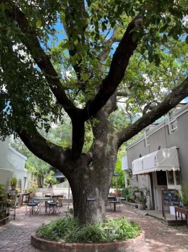 Cafe Felix & Old Oak Manor