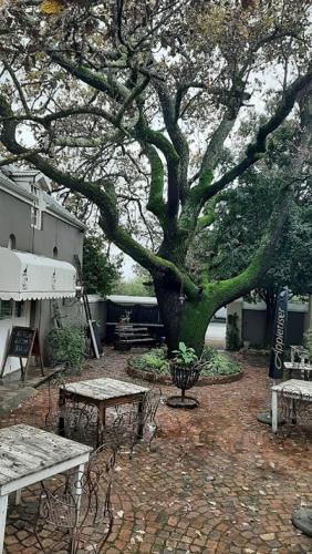 Cafe Felix & Old Oak Manor