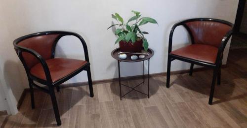 Bright apartment near Gurjaani Culture and Recreation Park free Parking