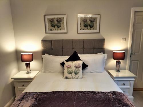 Springfield Lodge Bed and Breakfast - image 3
