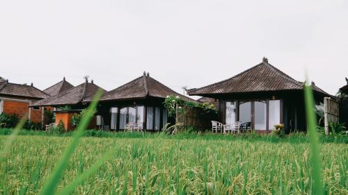 Kayangan Villa Ubud