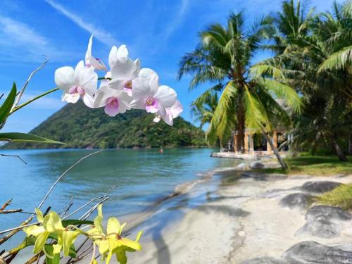 Chillax Luxury Pool Villa - Koh Chang