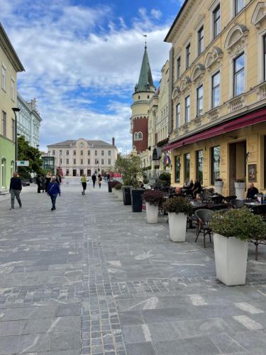 Celje Luxury Apartments & Spa