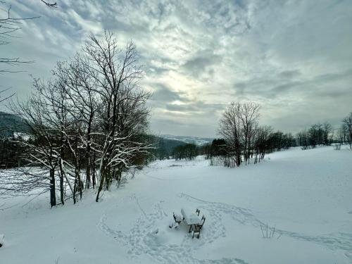 Chaloupka Dvě Sestry Chaloupka Dvě Sestry