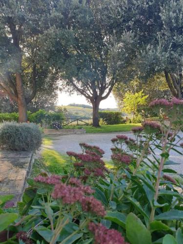  La casa dei nonni tra Crete Senesi e Val D´Orcia in San Giovanni dʼAsso