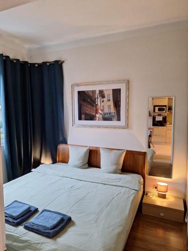 BEAUTIFUL apartment , beach 3 min walk , free parking, near Negresco, Nice (photo 3)