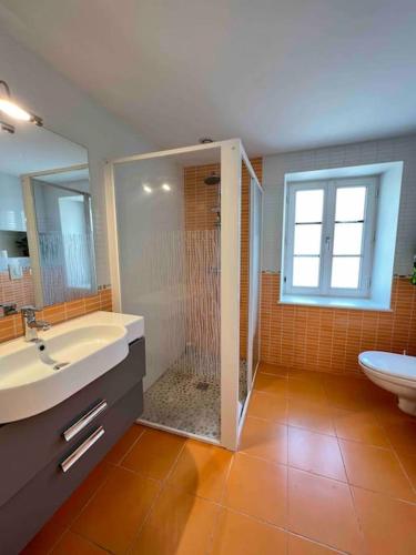 Zuhanyzó, Le Brèche, appartement spacieux, Orléans Sud (Le Breche, appartement spacieux, Orleans Sud) in Sud Loire