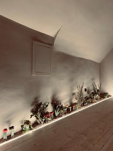  Green Cave, Design Room, Ferienwohnung in Monte SantʼAngelo
