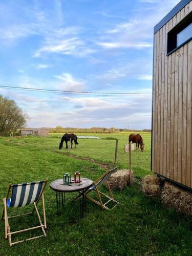 Apkārtne, Tiny House nature proche Montargis - 1h de Paris ! in Girolles
