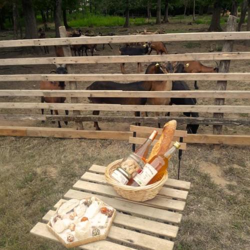 Ēdiens un dzērieni, Tiny House nature proche Montargis - 1h de Paris ! in Girolles