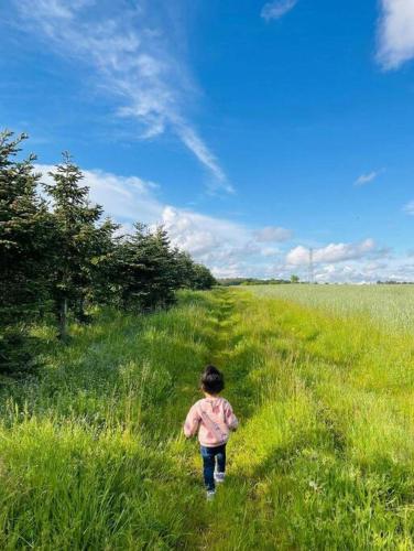 Apkārtne, Tiny House nature proche Montargis - 1h de Paris ! in Girolles