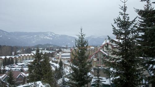 Telemark 14 | Ski-in Townhome! 5 Min Walk to Whistler Village w/ Fireplace & Laundry in Whistler, Canada