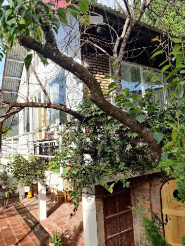 Summer Stay Dalat - 숙소 외관