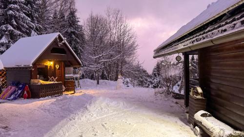 Viesnīcas āriene, Dwarfs cabin overlooking Julian Alps near Bled in Planina pod Golico