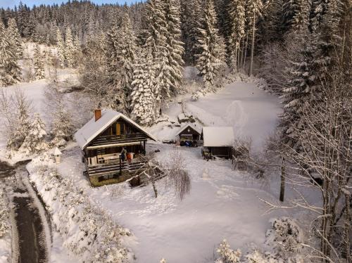 Viesnīcas āriene, Dwarfs cabin overlooking Julian Alps near Bled in Planina pod Golico