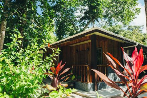 M&A Riverside Beach Bungalows in เกาะบาเบลดาวบ์