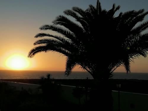 Apartamento Kokozun 28 in Los Cocoteros