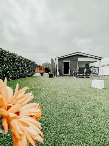 Ferienhaus Ufergeheimnis - Am Gülser Moselbogen 20