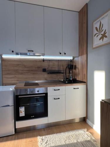 Cozy Boutique Apartment in Plovdiv in เขตปลอฟดิฟตะวันออก