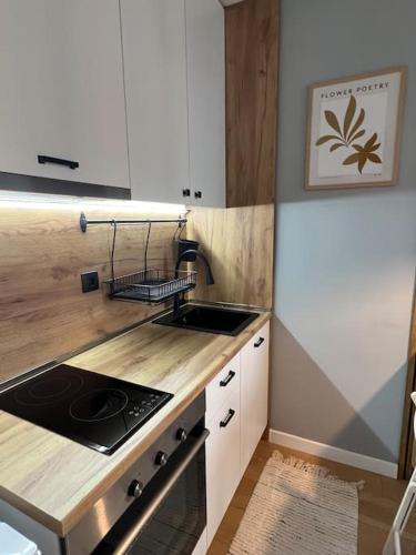 Cozy Boutique Apartment in Plovdiv in เขตปลอฟดิฟตะวันออก