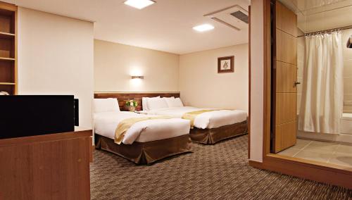 Hotel Skypark Myeongdong 1