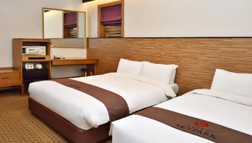 Hotel Skypark Myeongdong 1