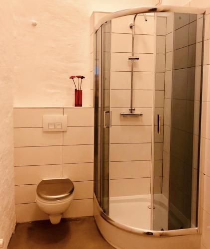 Stylisches Loft mitten im Zentrum, nähe HBF, Hannover (fotografie 4)