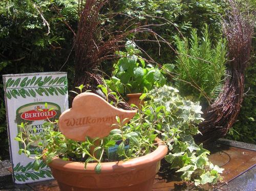 Arthotel Ana Panorama