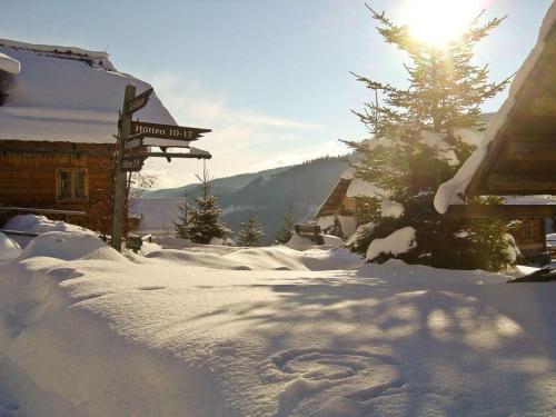  Majestic apartment in Patergassen with views in Patergassen
