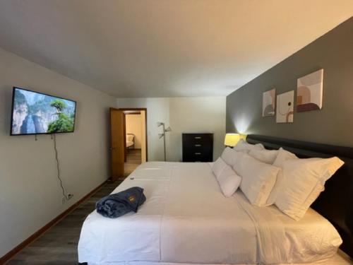 Sunblest Suites - A Pet Friendly Home in Fishers, USA