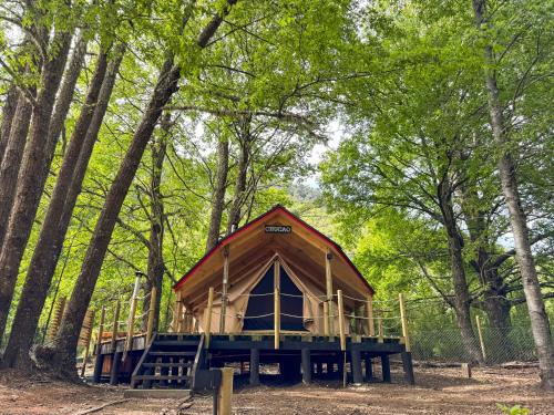 Casa del Árbol - Glamping