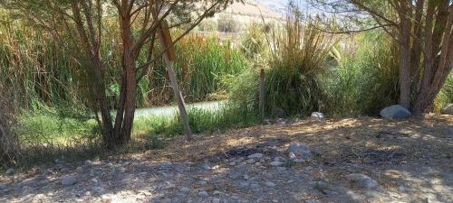 DIAGUITAS, VICUÑA, VALLE DEL ELQUI