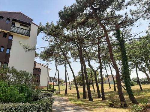 Appartement Seignosse 1 pièce 2 personnes - FR-1-239-437 - main image