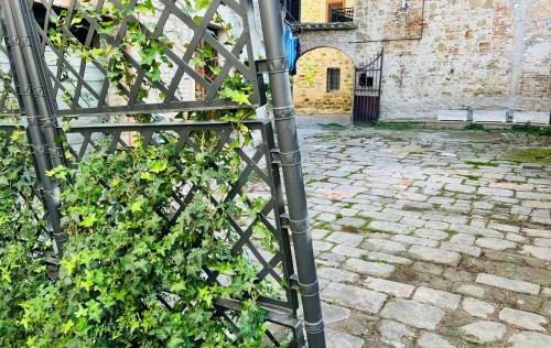 Assisi, Angolo di Matilde, Petrignano (photo 8)