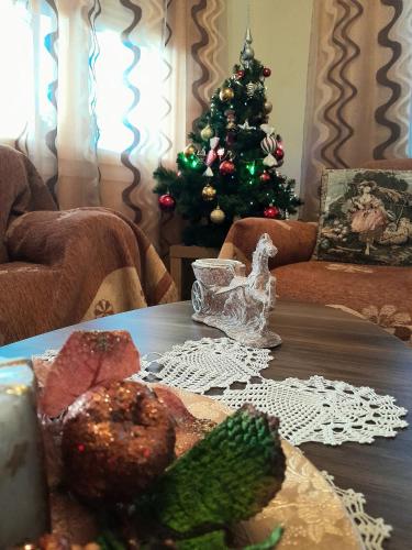 편의 시설/서비스, Tanias House in 시아티스타