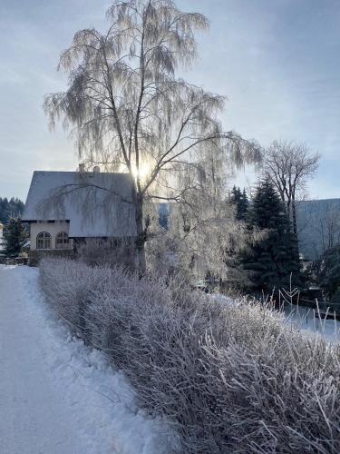 周邊環境, Apartmán Mlýn Herlíkovice 205 (Apartman Mlyn Herlikovice 205) in 斯特雷茨尼